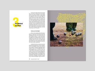 Schweizerische Hirnliga Das gesunde Gehirn im Alter Broschüre Content Print Definitiv Design