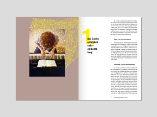 Schweizerische Hirnliga Das gesunde Gehirn im Alter Broschüre Content Print Definitiv Design